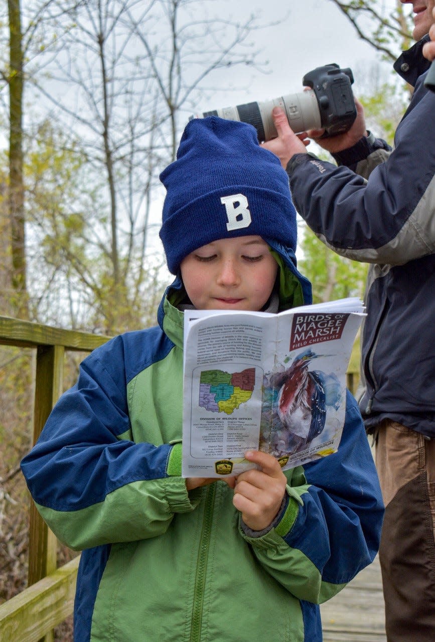 Eight-year-old Bennett Braun of Spencer reads about the birds he may see at Magee Marsh. Braun walked the boardwalk at Magee Marsh with his family last Saturday.