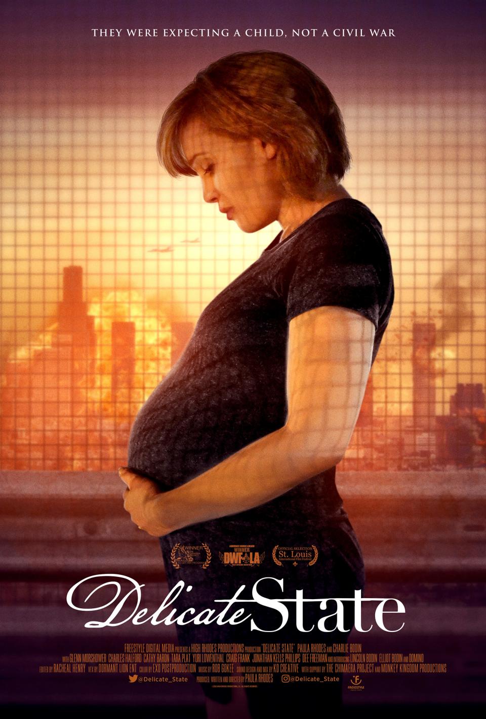 The poster for "Delicate State"