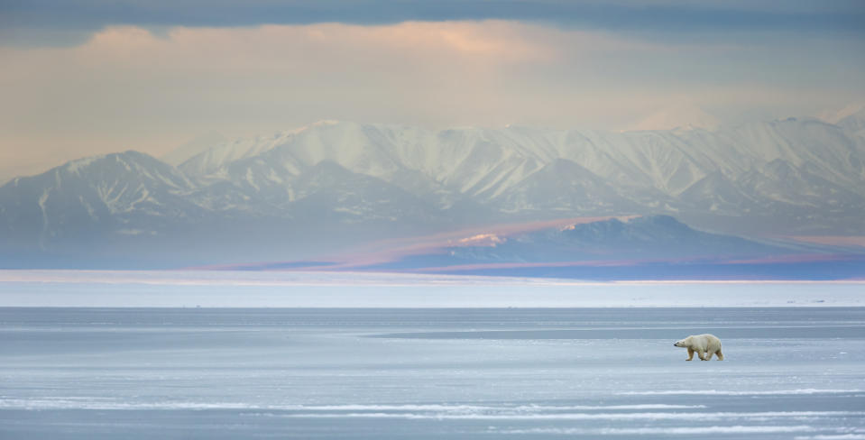  Auch der Zustand der Antarktis macht Experten Sorgen (Symbolbild: Getty Images)