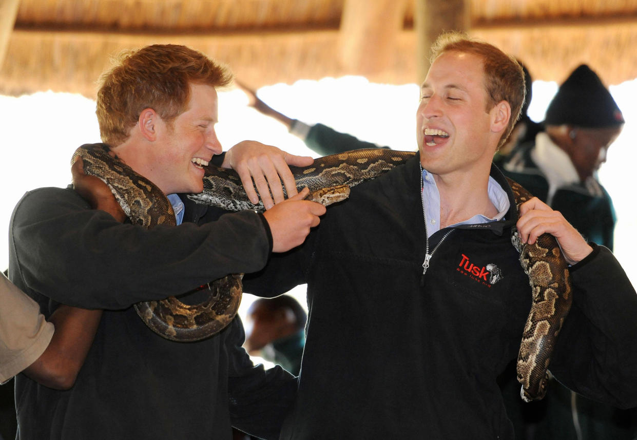 Harry, 25, and William, 27, pose with a rock python during a visit to the Mokolodi Nature Reserve in Gaborone, Botswana 