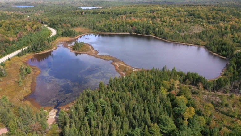 Imagen del pequeño lago Pike, el lago invadido que va a ser envenenado. Crédito: Steve Lawrence/CBC