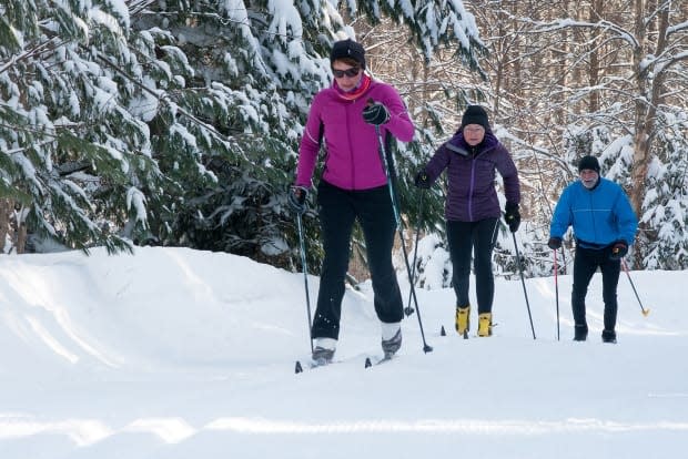 The Mark Arendz Provincial Ski Park at Brookvale will be open all day Monday for downhill and cross-country skiing, tubing and more. 