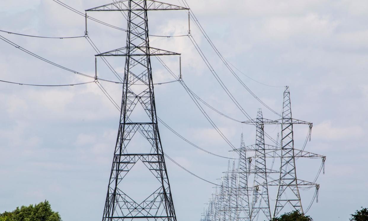 <span>Pylons cross farmland owned by Jenny and Ian Pennington in Spalding, Lincolnshire.</span><span>Photograph: Gary Calton/The Observer</span>