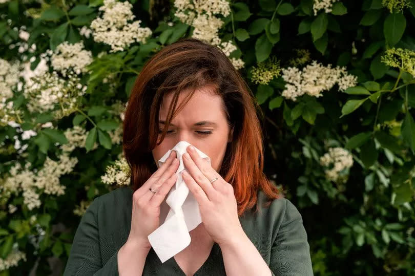 A GP has revealed his top tips on surviving the hayfever season