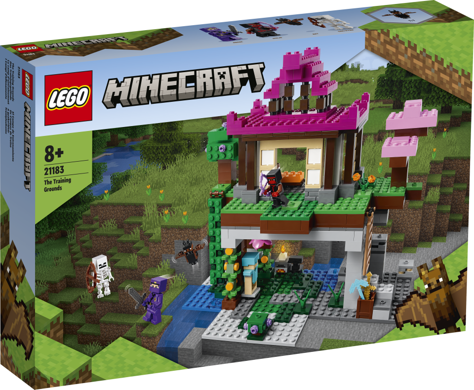 A boxed Lego minecraft set showing a building and mini figures, including a skeleton, against a green background.