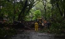 MUMBAI, INDIA - JUNE 3: BMC workers clearing the tree fallen due to to gusty winds, after Nisarg Cyclone hits coastal line at Marine Lines on June 3, 2020 in Mumbai, India. Alibaug witnessed wind speeds of up to 120 kilometres per hour. Although the cyclone made the landfall just 95 kilometres from Mumbai, the Maharashtra capital largely escaped its wrath. (Photo by Anshuman Poyrekar/Hindustan Times via Getty Images)