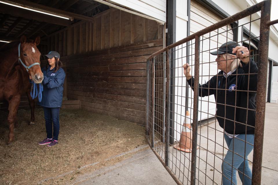 Teri Beck, a volunteer at Glenoak Therapeutic Riding Center, closes a gate and instructs Maggie Cano, a TAMUCC volunteer, on how to lead Patton to his stall on Tuesday, Nov. 28, 2023, in Corpus Christi, Texas.