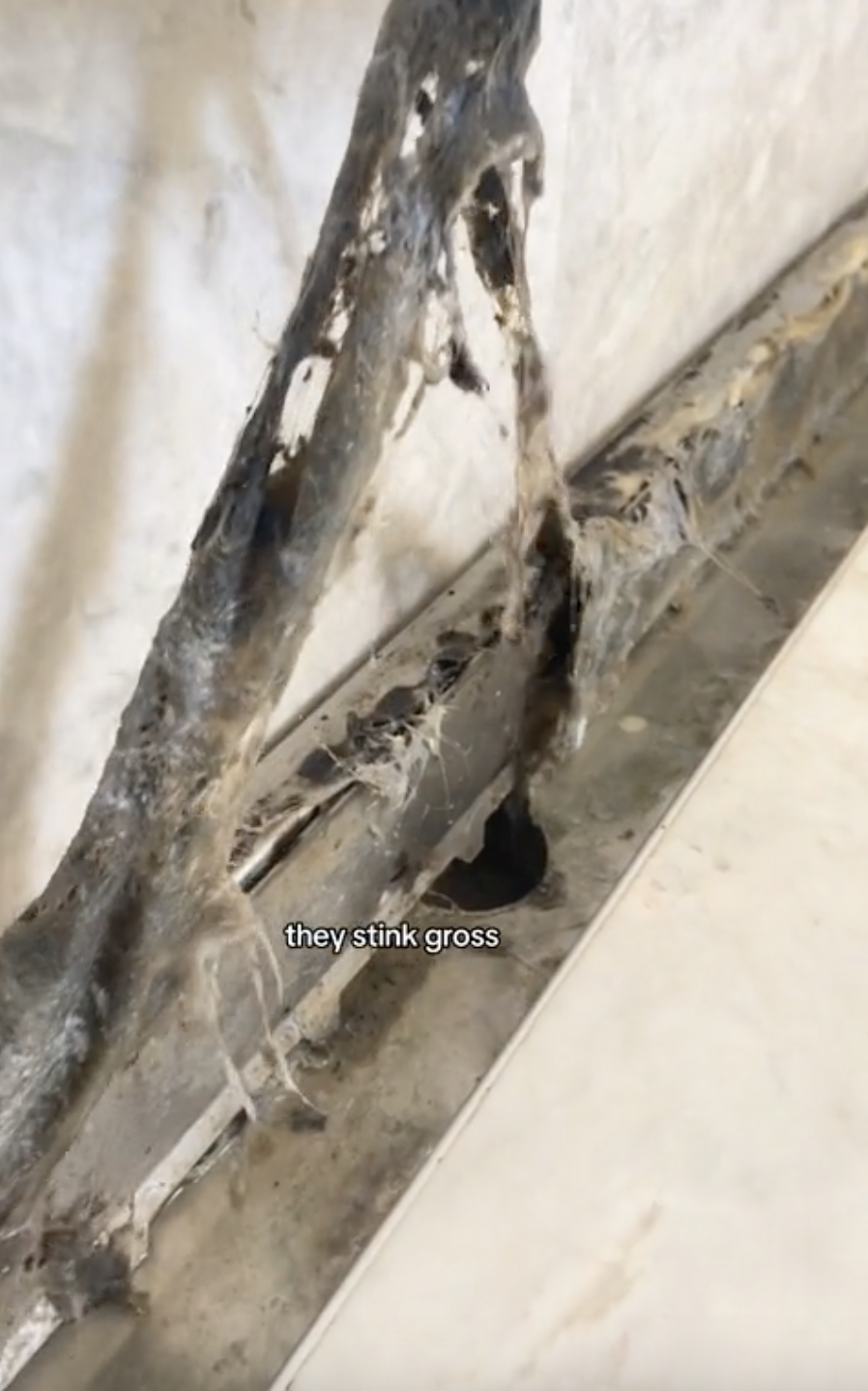 Damaged wall and pipes with cobwebs; text overlay states 'they stink gross'