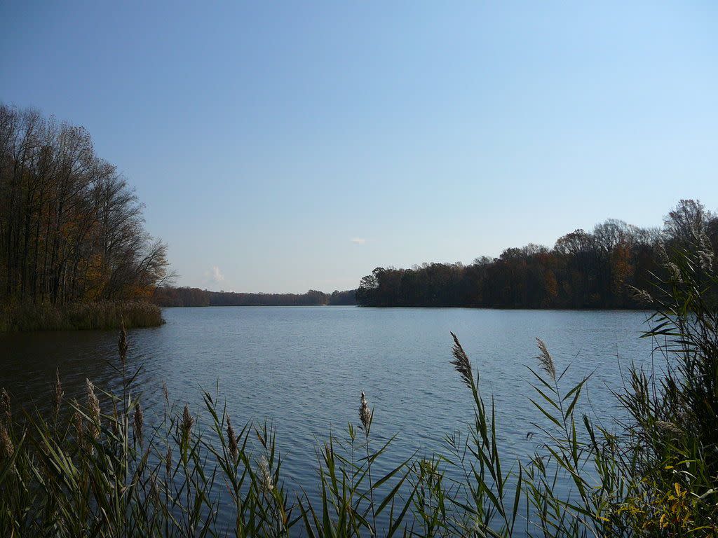 Lums Pond