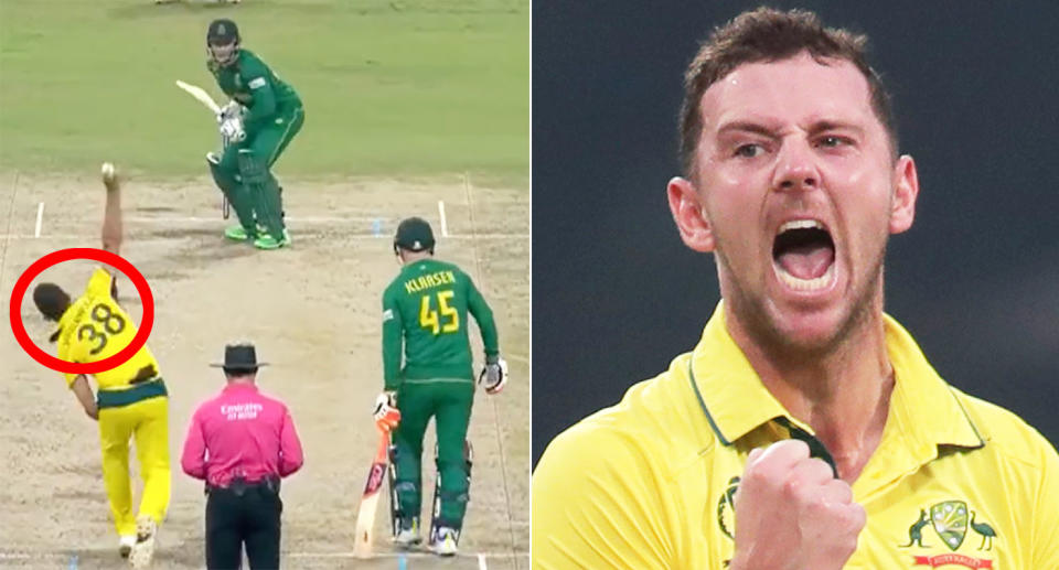 Seen here, Josh Hazlewood celebrates a wicket for Australia in the World Cup semi-final.