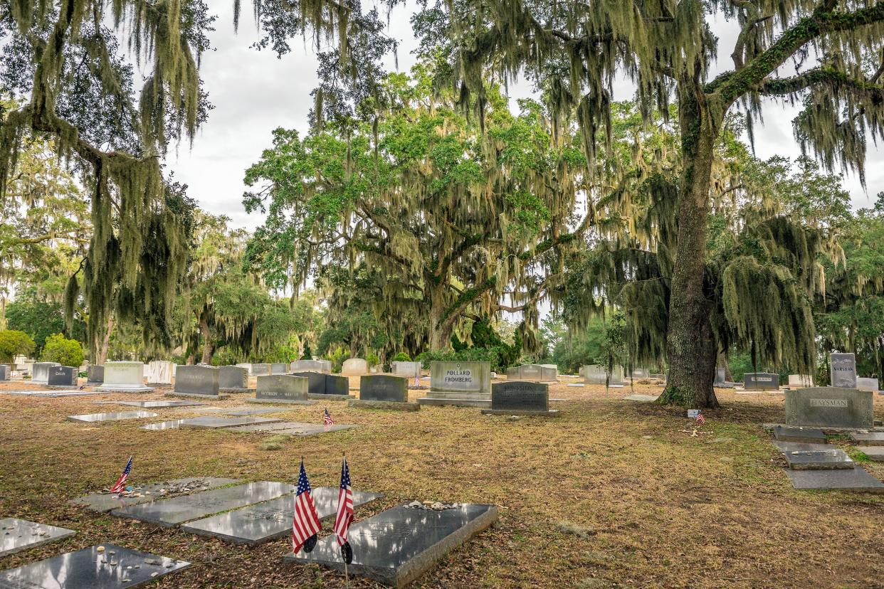 Bonaventure Cemetery, Savannah, Georgia, several graves and headstones surrounded by a layer of pine needles with large pine trees and live oaks looming over