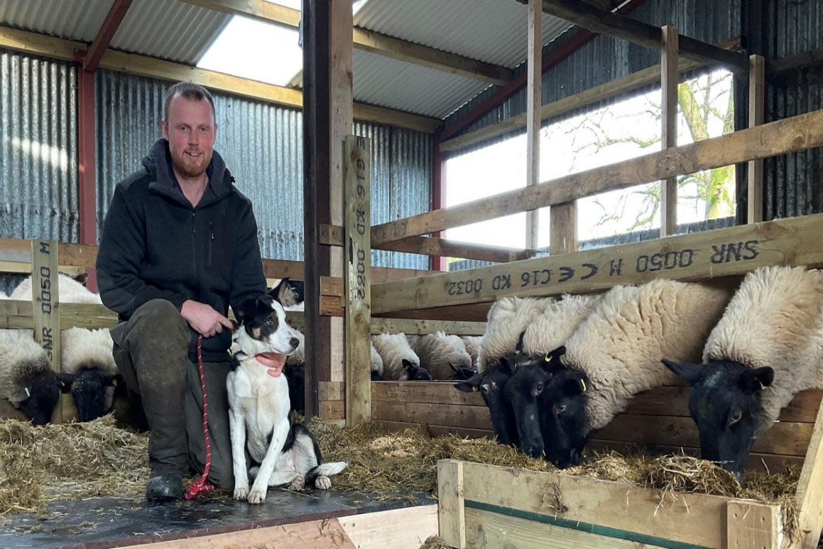 William Egerton’s farm at Rosslea, is hosting a farm walk on Wednesday, July 3 at 7.30pm. <i>(Image: Impartial Reporter)</i>