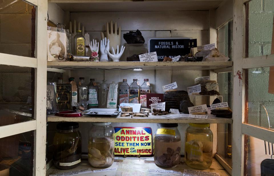 A cabinet full of oddities at Corkscrew Curiosities in Henderson, Ky., Thursday, May 12, 2022. 