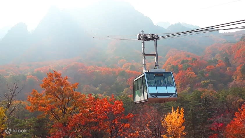 Seoraksan / Nami Island / Alpaca World / Garden of Morning Calm. (Photo: Klook SG)