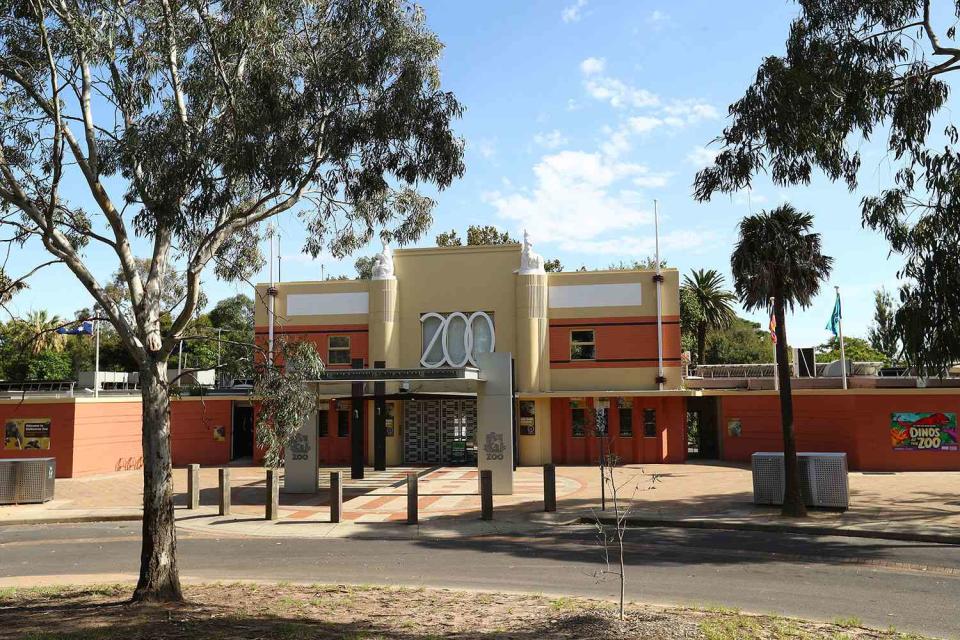 <p>Robert Cianflone/Getty</p> Melbourne Zoo