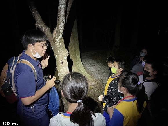 奧萬大森林遊樂區夜間觀測長臂金龜。(南投林管處提供)