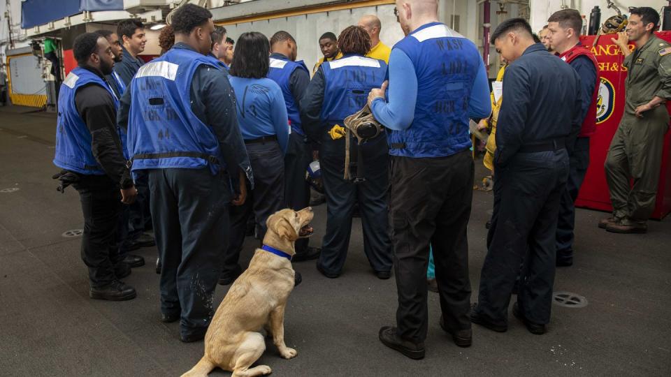 Ike, combat operational stress control dog, spends time with sailors from air department’s V-3 division in the hangar bay aboard the amphibious assault ship Wasp on June 26, 2023. (Mass Communication Specialist Seaman Kaitlin Young/U.S. Navy)