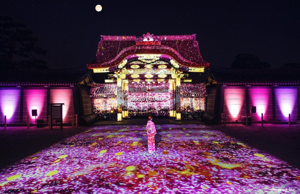 日本櫻花2024｜NAKED京都二条城櫻花祭2024賞櫻套票！每人$467 夜櫻點燈光雕秀＋京都老字號抹茶、日式點心