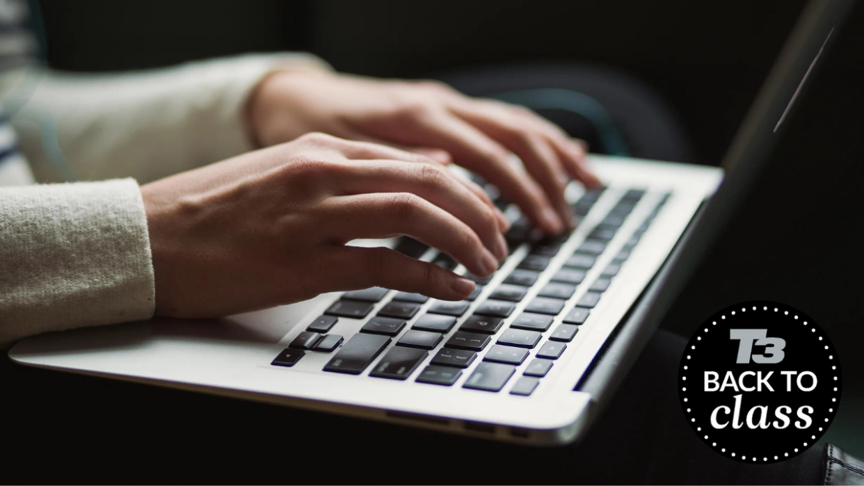  person typing on laptop 