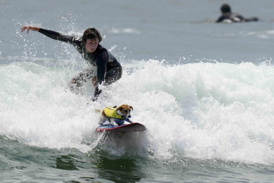 Mauro Canella y su perro Efruz hacen surf en una playa de San Bartolo, Perú, el jueves 25 de enero de 2024. (AP Foto/Martín Mejía)