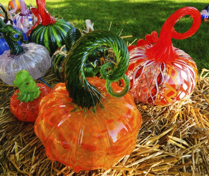 The Great Glass Pumpkin Patch, held annually on the Monroe County Courthouse lawn, is a fundraiser for the Bloomington Creative Glass Center.