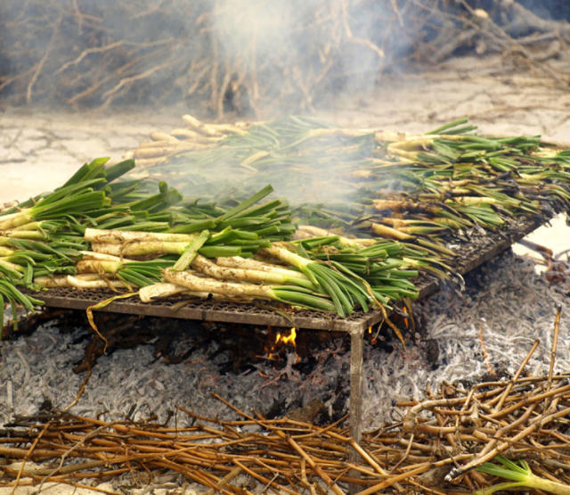 Ponte el babero y ¡a comer calçots!