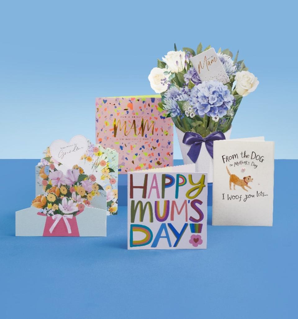 Every dog has its Mother’s Day -- Canine cards proved popular (Card Factory)