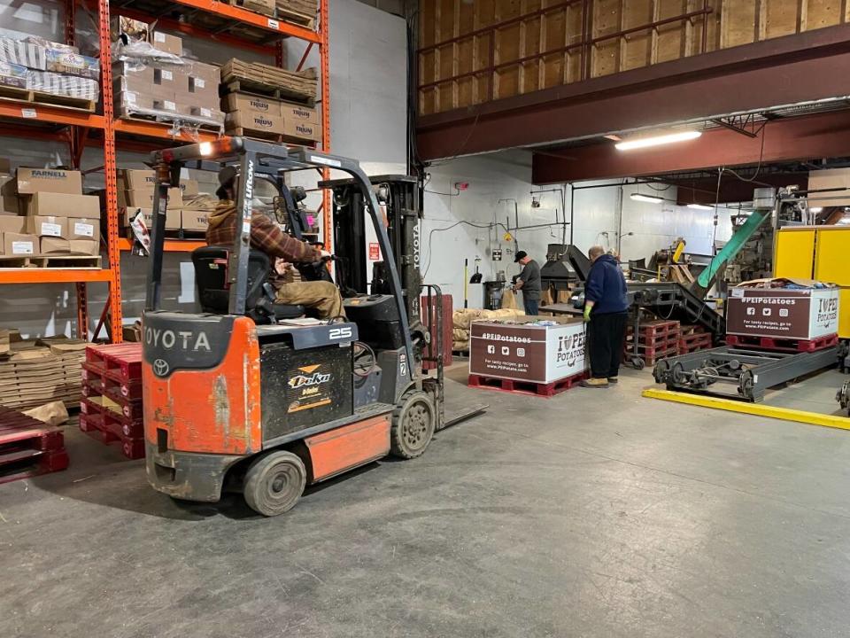 At Mid Isle Farms in Albany, P.E.I., they are packing potatoes heading to their Canadian customers, but 60 per cent of their sales so far this year were south of the border and they were expecting that to continue, or even grow.   (Nancy Russell/CBC - image credit)