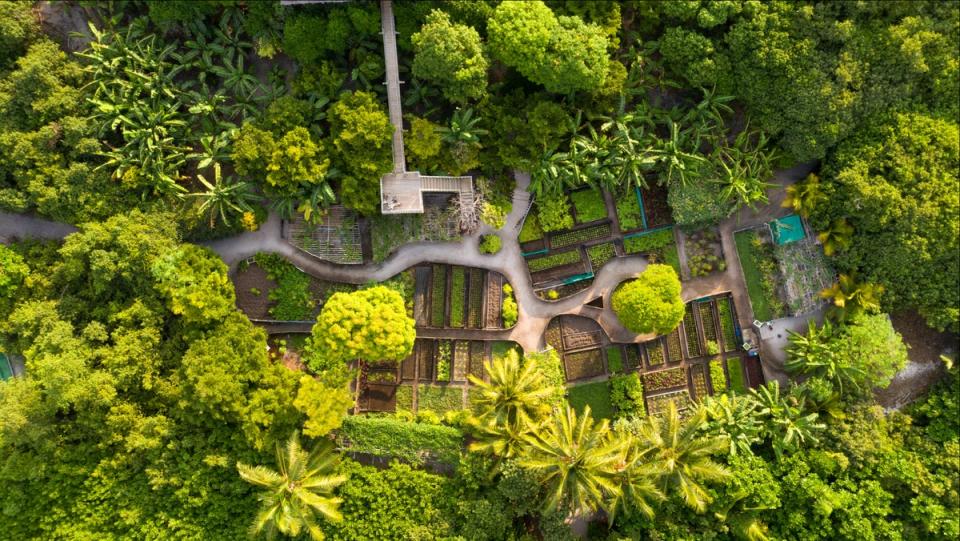 “My particular favourite of all the dining experiences, though, was ‘Shades of Green’ - a vegan dinner, held at dusk in Soneva Fushi’s organic garden,” says Alexandra Jones (Soneva / Evening Standard)