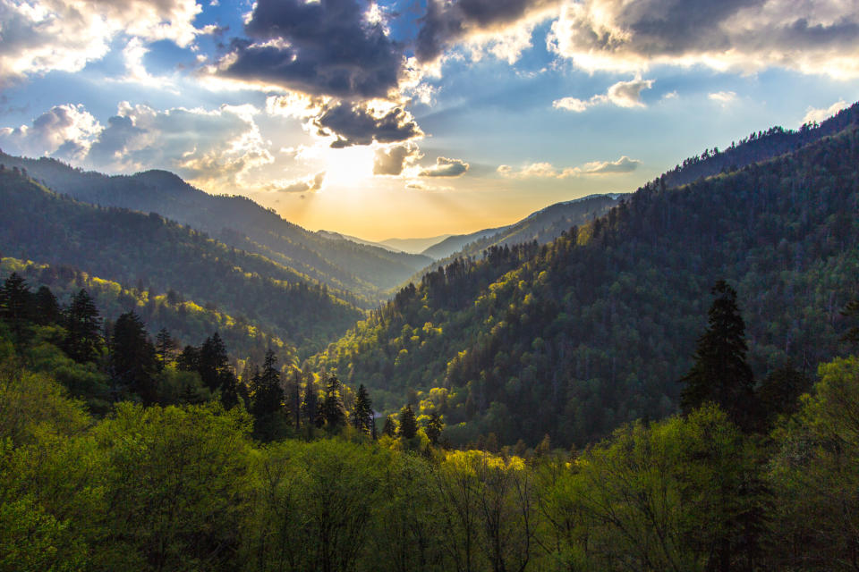 A 15-minute walk out the front door of the hotel will put you inside Great Smoky Mountains National Park and on the northern end of Twin Creeks Trail — how's that for easy access? Plus, the property is a short trolley ride away from downtown Gatlinburg, Tennessee and you get a warm cookie at check-in. Winning.Rooms start at $111/night.