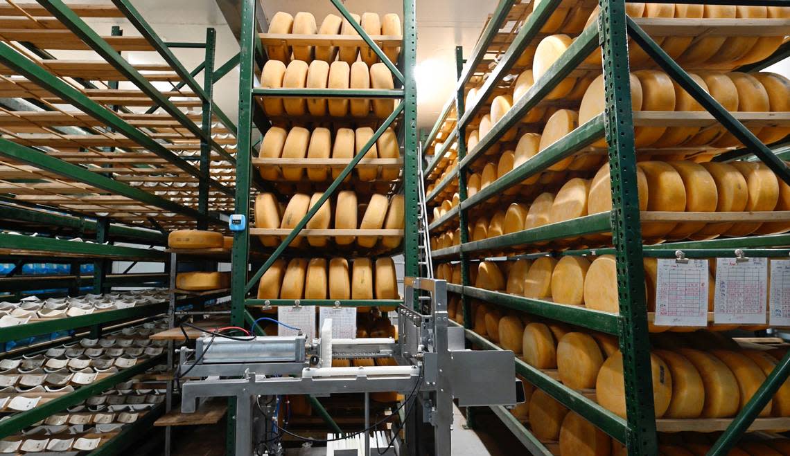 Aging cheese at Fiscalini Farmstead in Modesto, Calif., Wednesday, April 10, 2024. Andy Alfaro/aalfaro@modbee.com