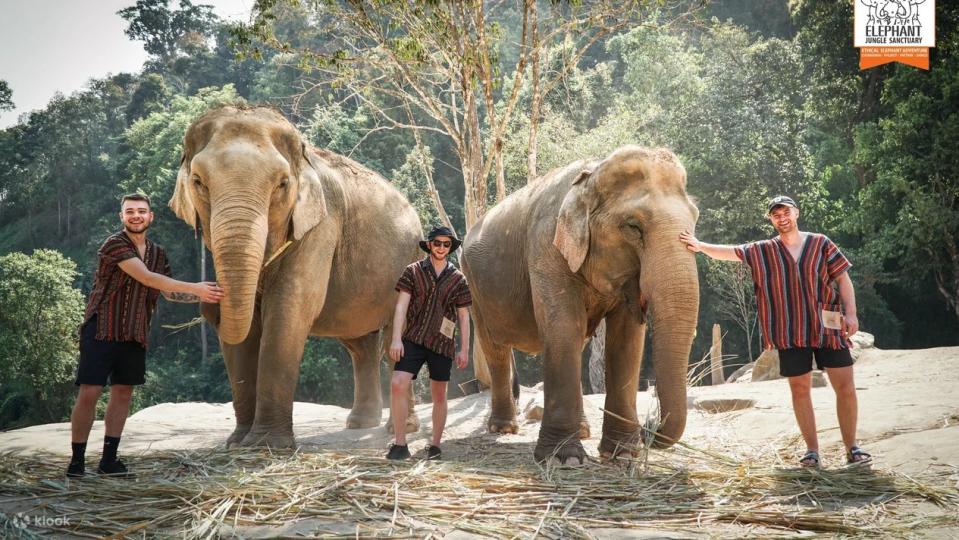 Elephant Jungle Sanctuary Chiang Mai Experience. (Photo: Klook SG)