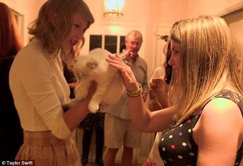 Taylor Swift holds out her cats to be pet