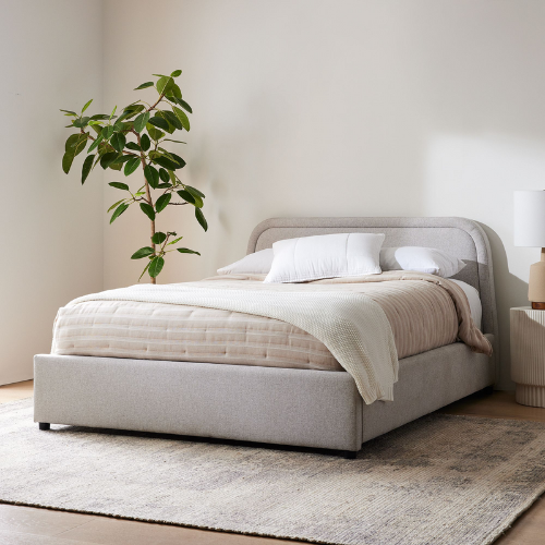 gray storage bed inside of a bedroom with a plant and rug