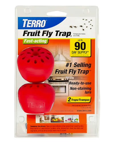 fruit-fly-trap
