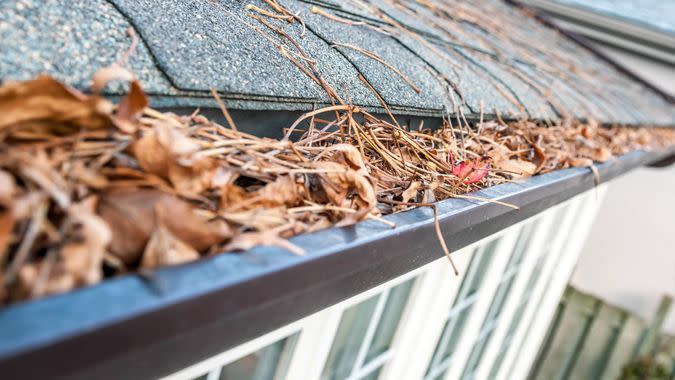 "Block, Architectural Feature, Building Exterior, Built Structure, Chores, Clogged", Close-up, Color Image, Colors, Covering, Cross-processed, Defocused, Eavestrough, Full, Horizontal, House, Leaf, Nobody, Outdoors, Overflowing, Photography, Roof, Soft Focus, Toned Image, cleaning