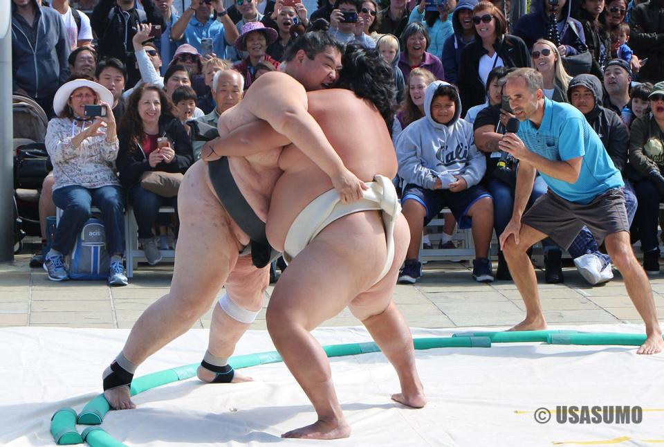 For the first time, the Knoxville Asian Festival will present sumo shows featuring world-class athletes.