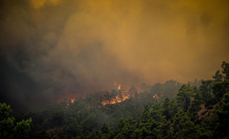 Smoke rises from a wildfire on the island of Rhodes (via REUTERS)