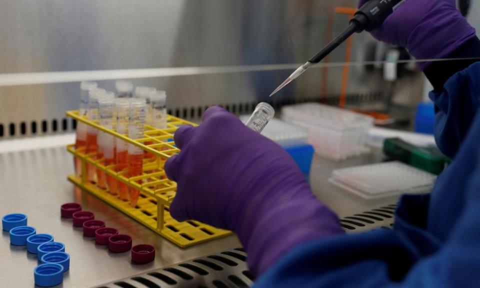 Close-up of work in a lab, with two hands in purple rubber gloves handling test tubes in a yellow rack and a pipette