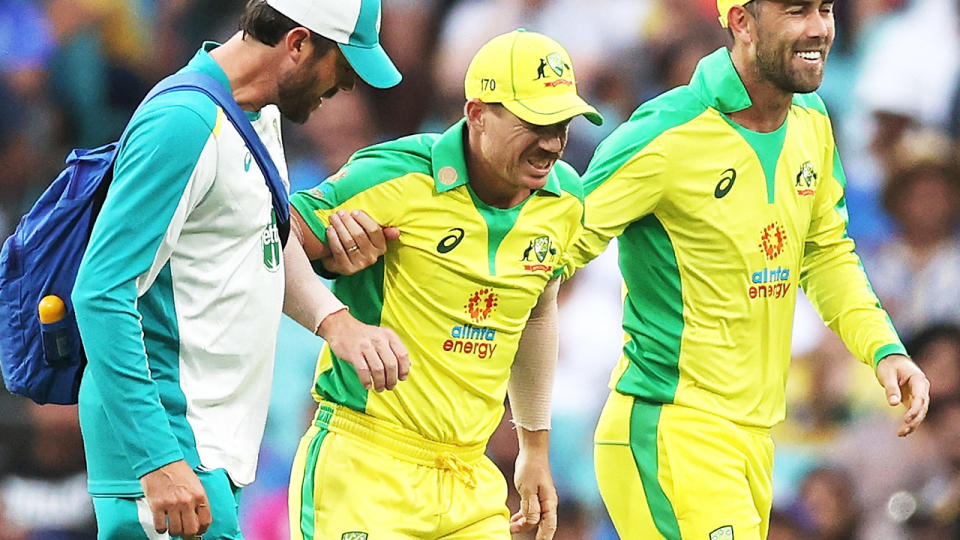 David Warner (pictured middle) hobbling off the field after an injury.