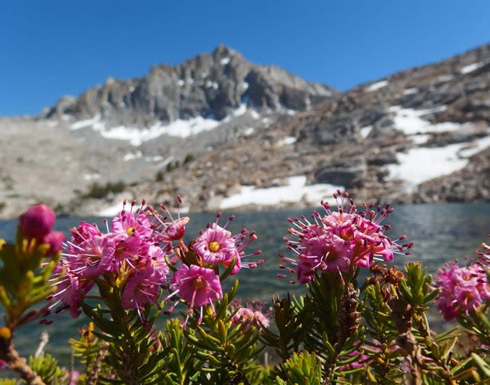 Treasure Lakes near Bishop, California