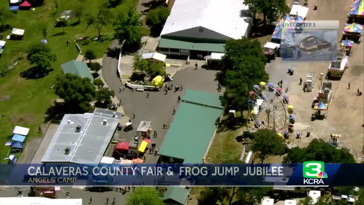 What to know about the Calaveras County Fair and Jumping Frog Jubilee