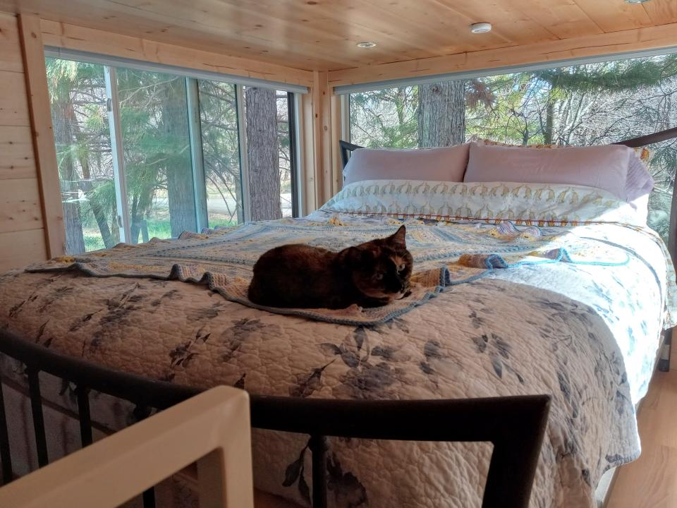 cat on bed in loft