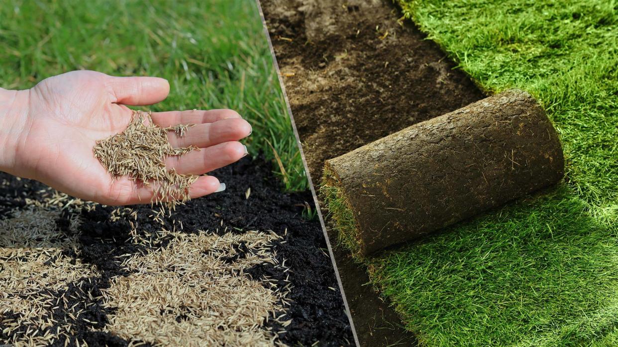  A hand spreading grass seed next to sod being unrolled 