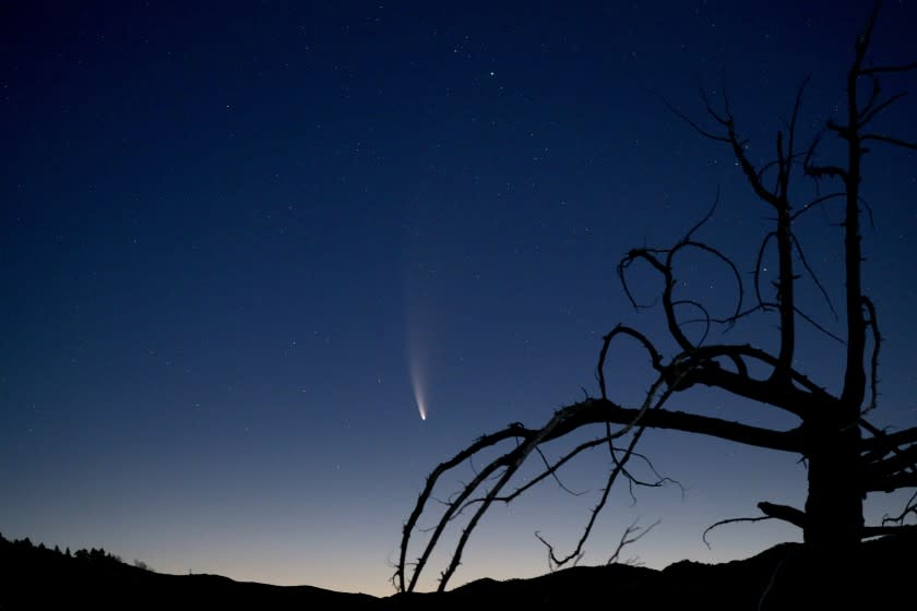 Comet Neowise, formally known as C/2020 F3, is captured moving across the NorthEastern sky on a four-second exposure from a vantage point on Mt. Wilson Rd., in the Angeles National Forest on Friday, July 10, 2020. The comet can be viewed in the evenings after sunset in the Northwestern sky and in the mornings before sunrise in the Northeastern sky.