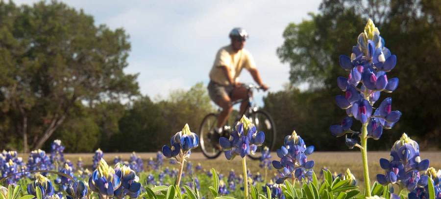 Dinosaur Valley State Park (Texas Parks and Wildlife Department photo)