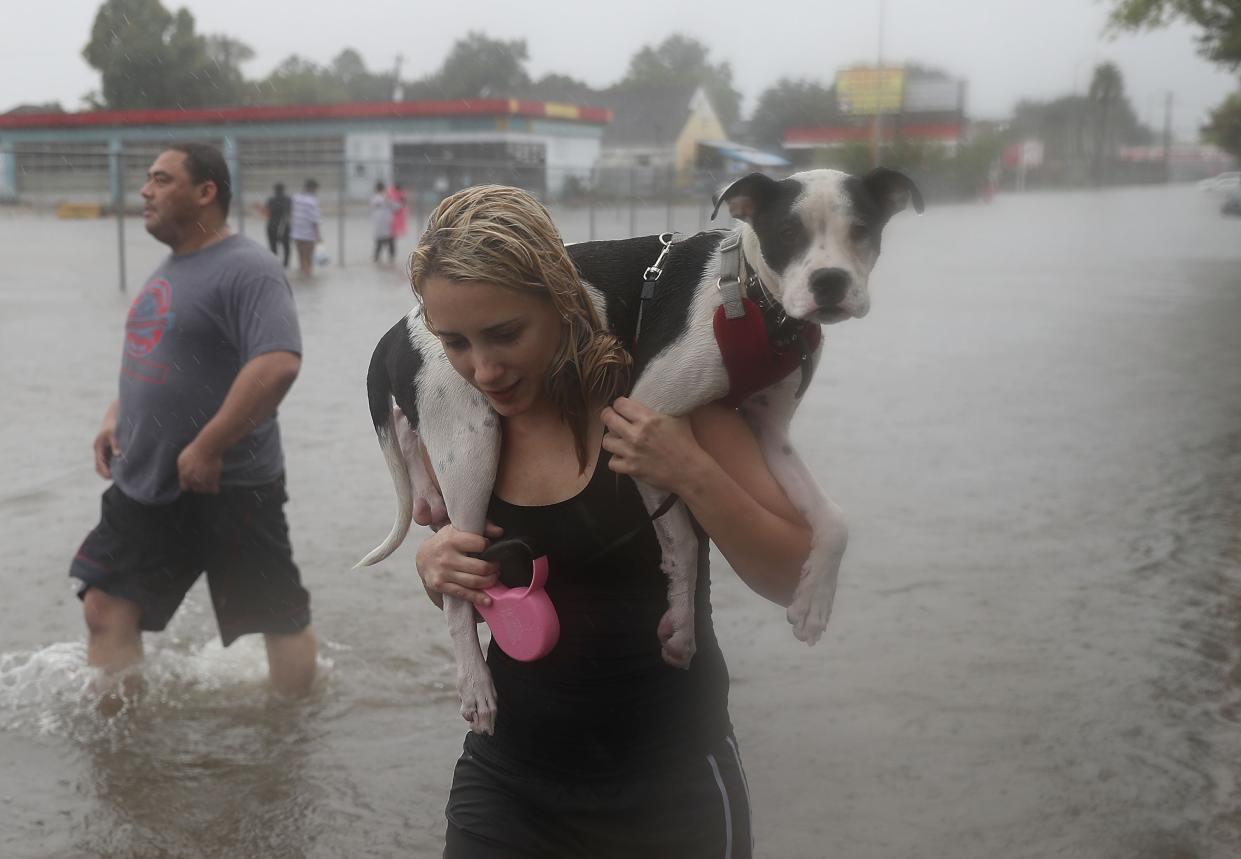 Naomi Coto carries Simba as she evacuates her home after the Houston area was inundated with flooding from Hurricane Harvey on Aug. 27, 2017. Harvey, which made landfall north of Corpus Christi late Friday, is expected to dump upwards of 40 inches of rain in Texas over the next few days. (Photo by Joe Raedle/Getty Images)