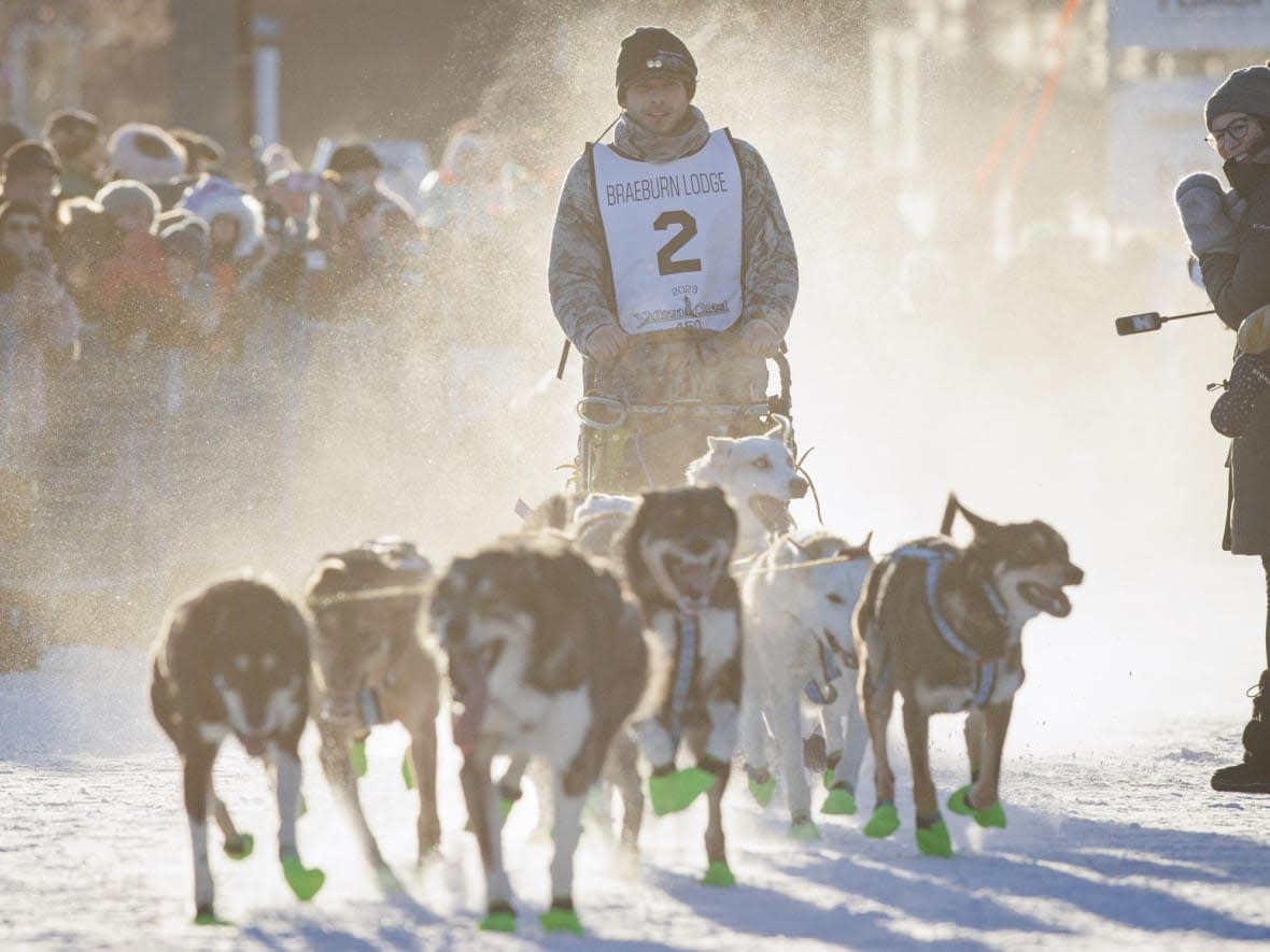 A musher runs his dog at the starting line of the Yukon Quest 2023, in Whitehorse, on Feb. 11, 2023. The Yukon Quest race starts regardless of weather and lasts from 10 to 16 days until the final dog team arrives at the finish line. (Evan Mitsui / CBC News - image credit)