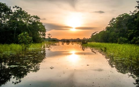 The upper Amazon has long been a battleground for rival drug-trafficking gangs - Credit: AP/FOTOLIA