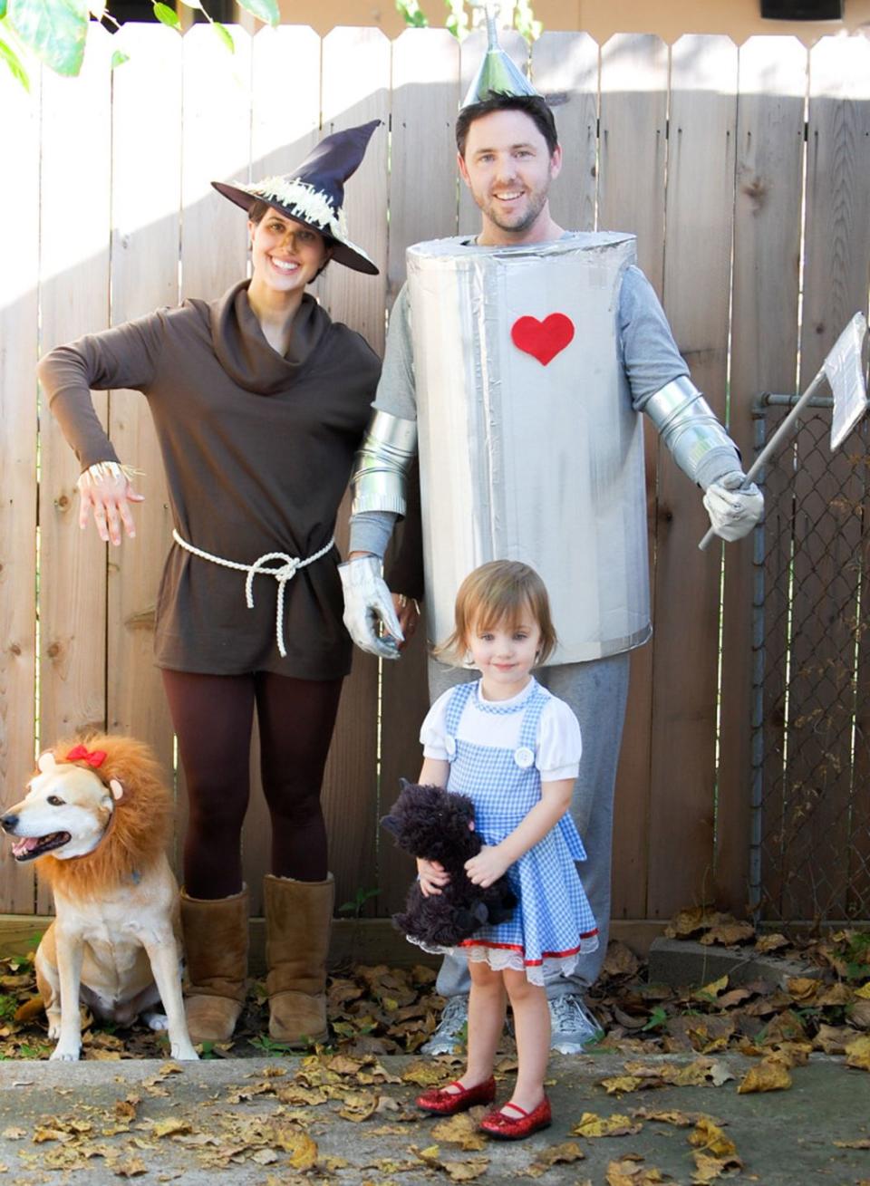 wizard of oz costume